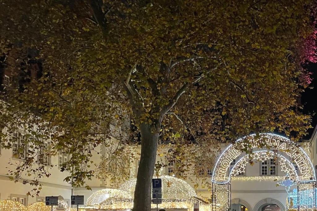 Stilvolles Studio Фаллендар Экстерьер фото